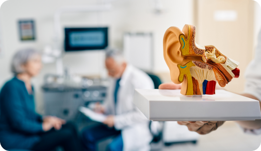 op de achtergrond is een vrouw op bezoek bij een mannelijke audicien en op de voorgrond staat een beeld wat de anatomie van het oor laat zien